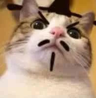 广西举报高速交通违法多久回复,广西高速应急车道举报有没有奖励