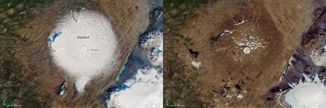 范思哲声明完整版,范思哲道歉文案