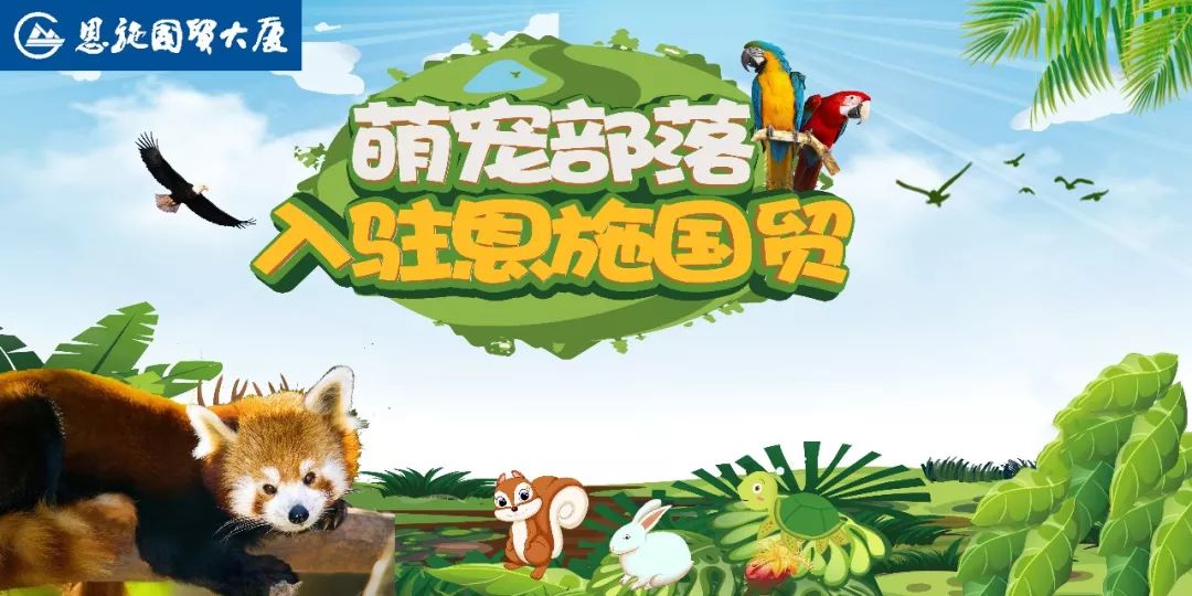 恩施室内动物园,恩施最大的动物园是哪里