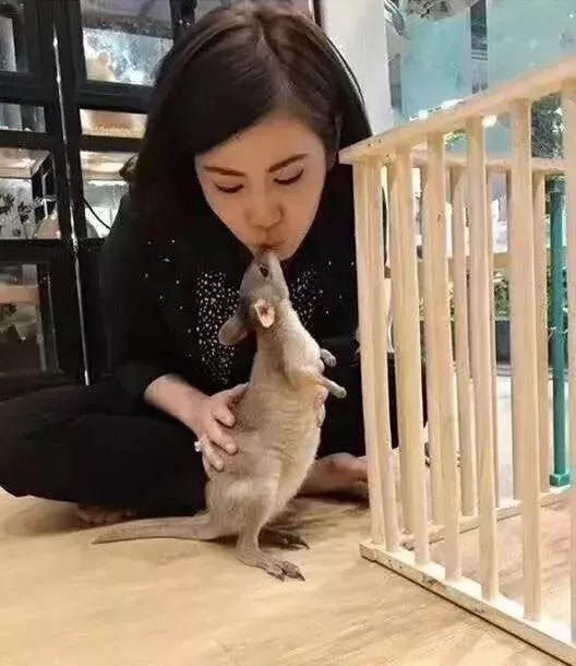 恩施室内动物园,恩施最大的动物园是哪里