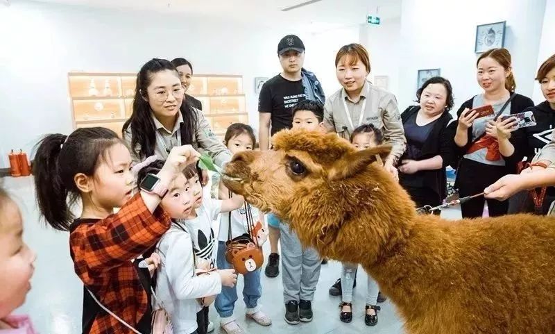 恩施室内动物园,恩施最大的动物园是哪里