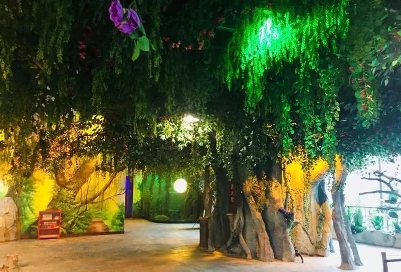 恩施室内动物园,恩施最大的动物园是哪里