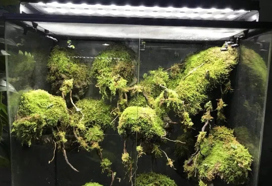 恩施室内动物园,恩施最大的动物园是哪里