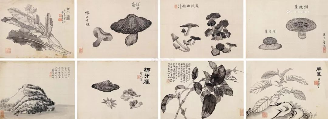 一席佳宴，“珍馐美馔”错列横陈！帽哥出品