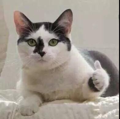 华西医院皮肤科脱发专家排名,四川华西医院脱发治得好吗