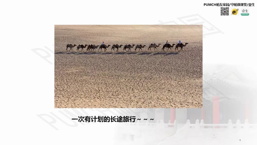 帕金森患者用药有讲究,帕金森患者问诊有什么注意的吗