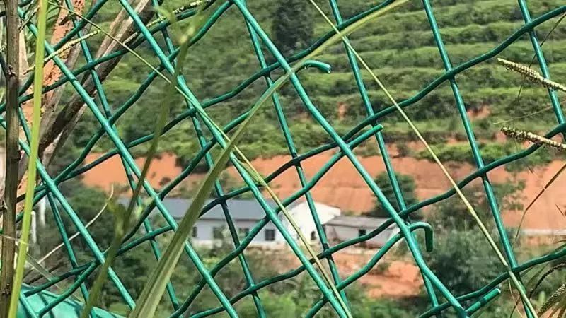 这4种月饼千万别买,这四种月饼千万别买