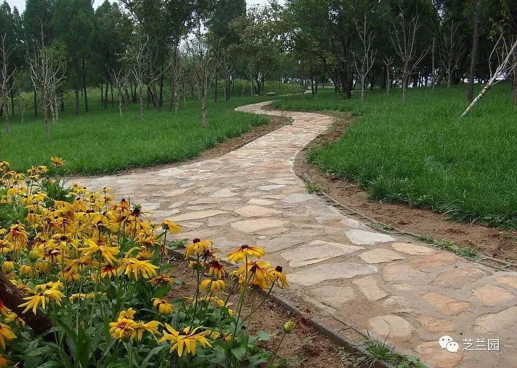 「小说」张俊芳丨小文（一）