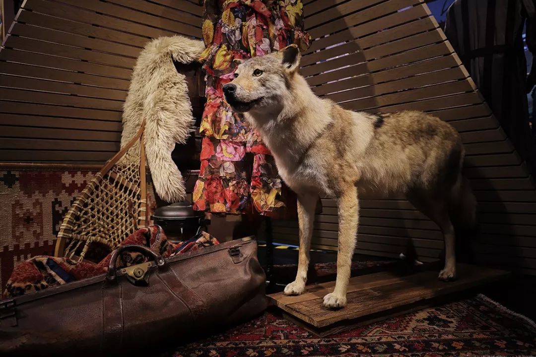 现在的“个性设计”也太狂了