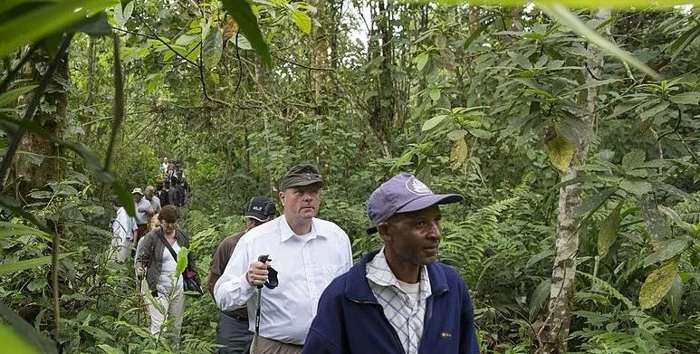 痒？给你一支“不求人”