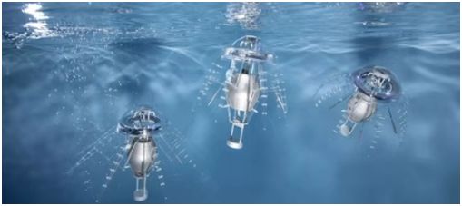 世界机器人博览会2024时间表,世界机器人展览会2019