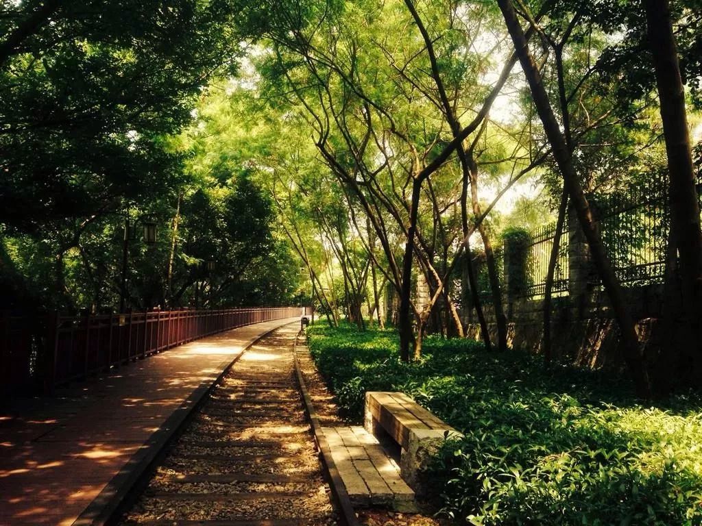 厦门八市夜游攻略,厦门附近三天两夜游攻略