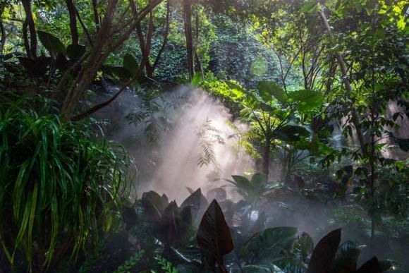 厦门八市夜游攻略,厦门附近三天两夜游攻略