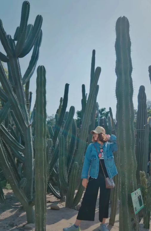 厦门八市夜游攻略,厦门附近三天两夜游攻略