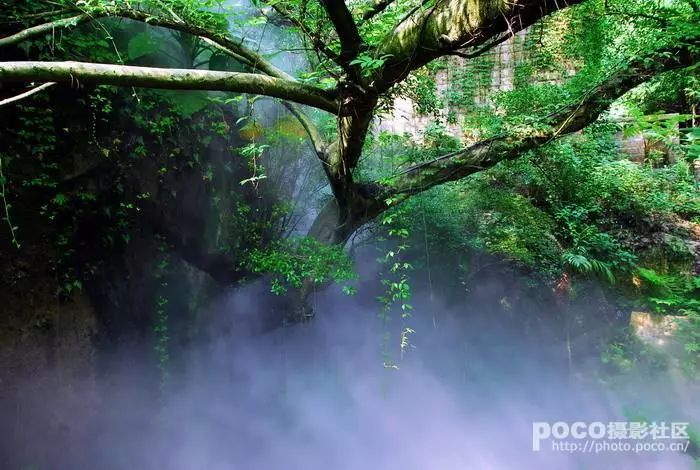 厦门八市夜游攻略,厦门附近三天两夜游攻略