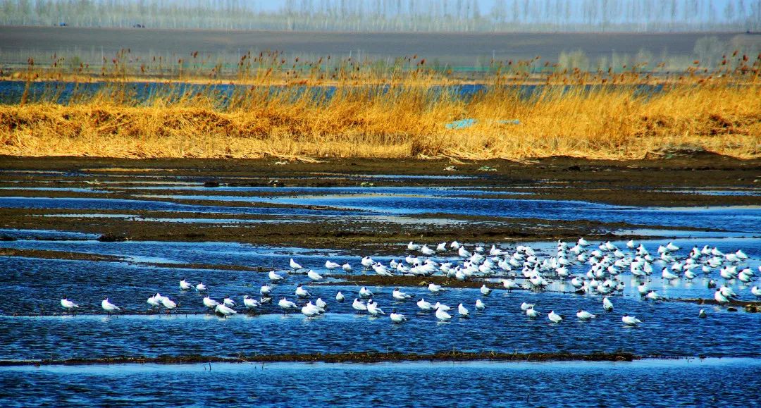 绥化发展规划,绥化高质量发展