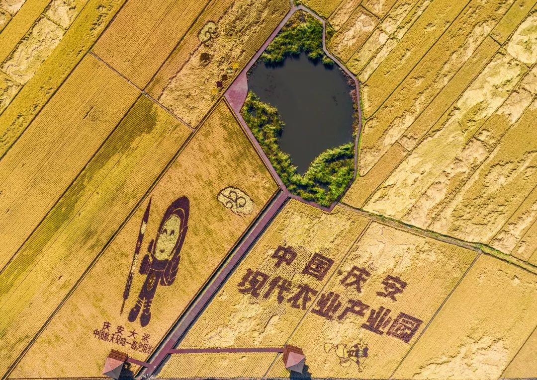 绥化发展规划,绥化高质量发展