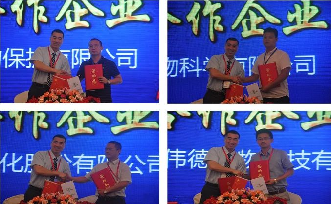 星星之火可以燎原——威敌28高芸苔素内酯重磅上市