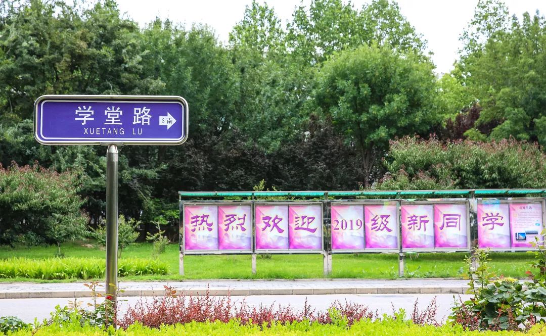 爱你已“九”∣快来领取你的清华报到攻略吧!