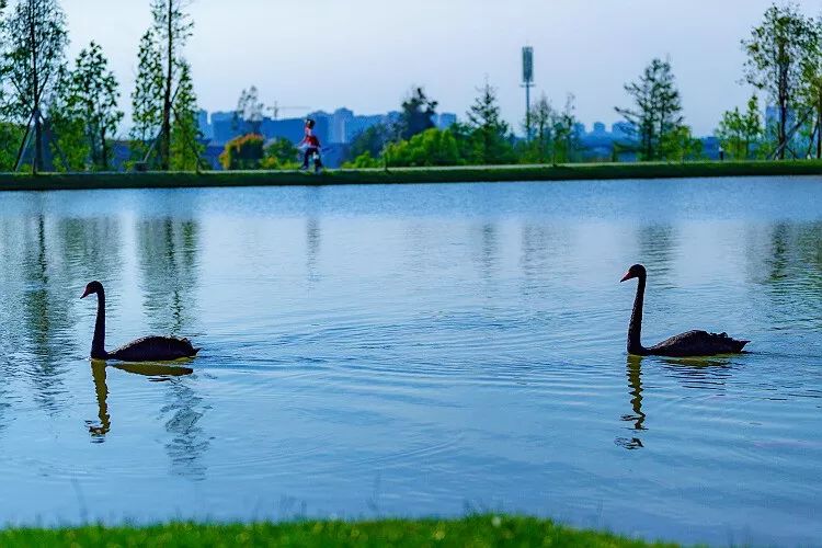 必须点赞！全国50强！云南这两所大学被教育部表扬