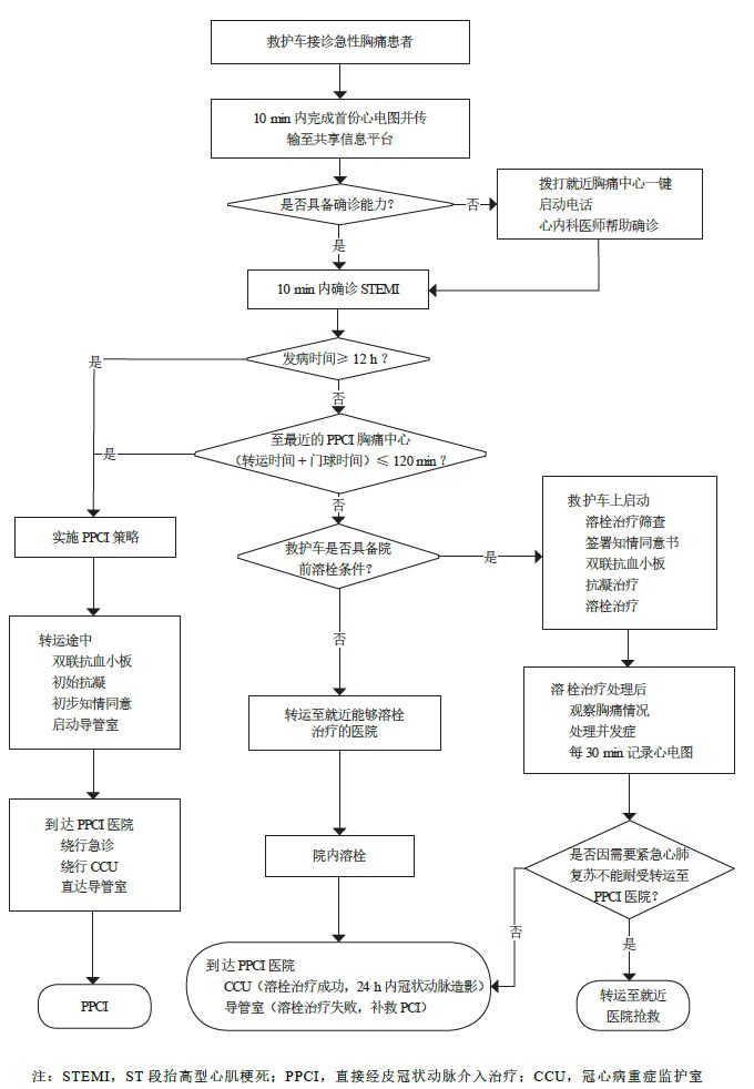 向定成,向定成教授