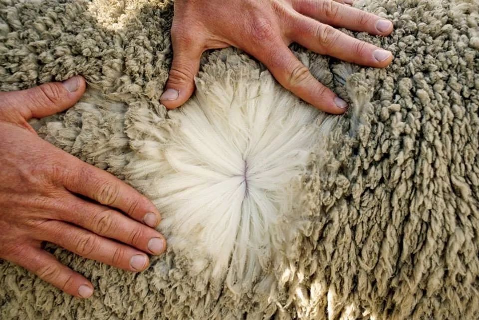 航空在什么情况下免费升舱,航空公司有免费升级头等舱吗