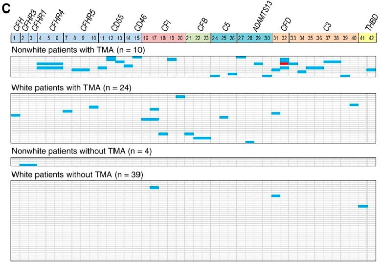 造血干细胞移植后腿上很多出血点,造血干细胞移植后排异出现几次