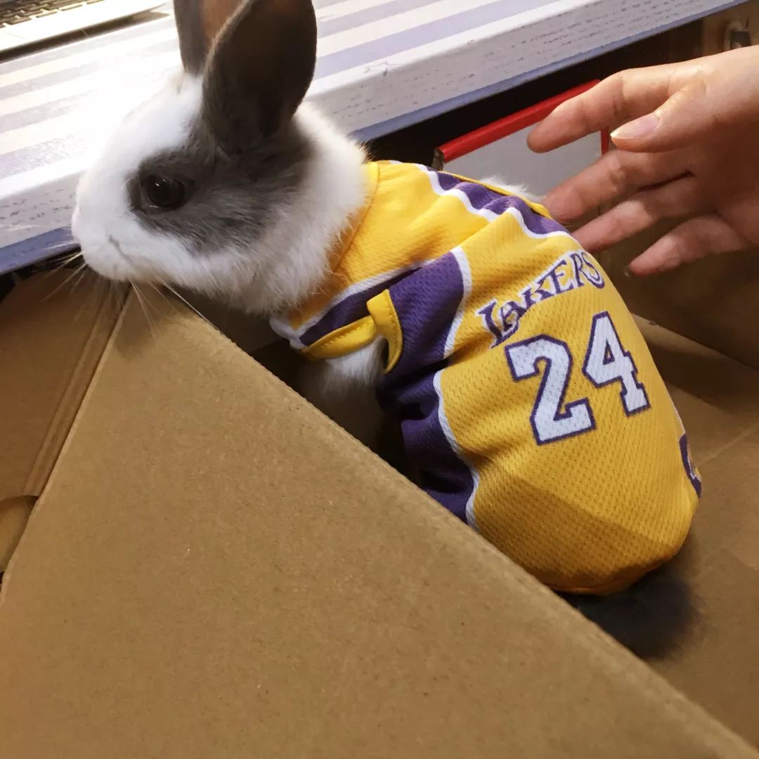 什么!?这是一个你没有见过的全新毒App社区