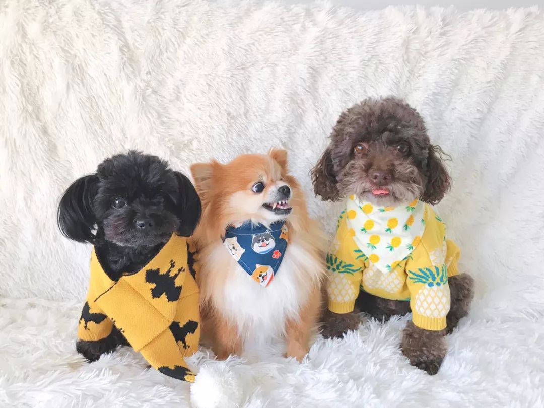 什么!?这是一个你没有见过的全新毒App社区