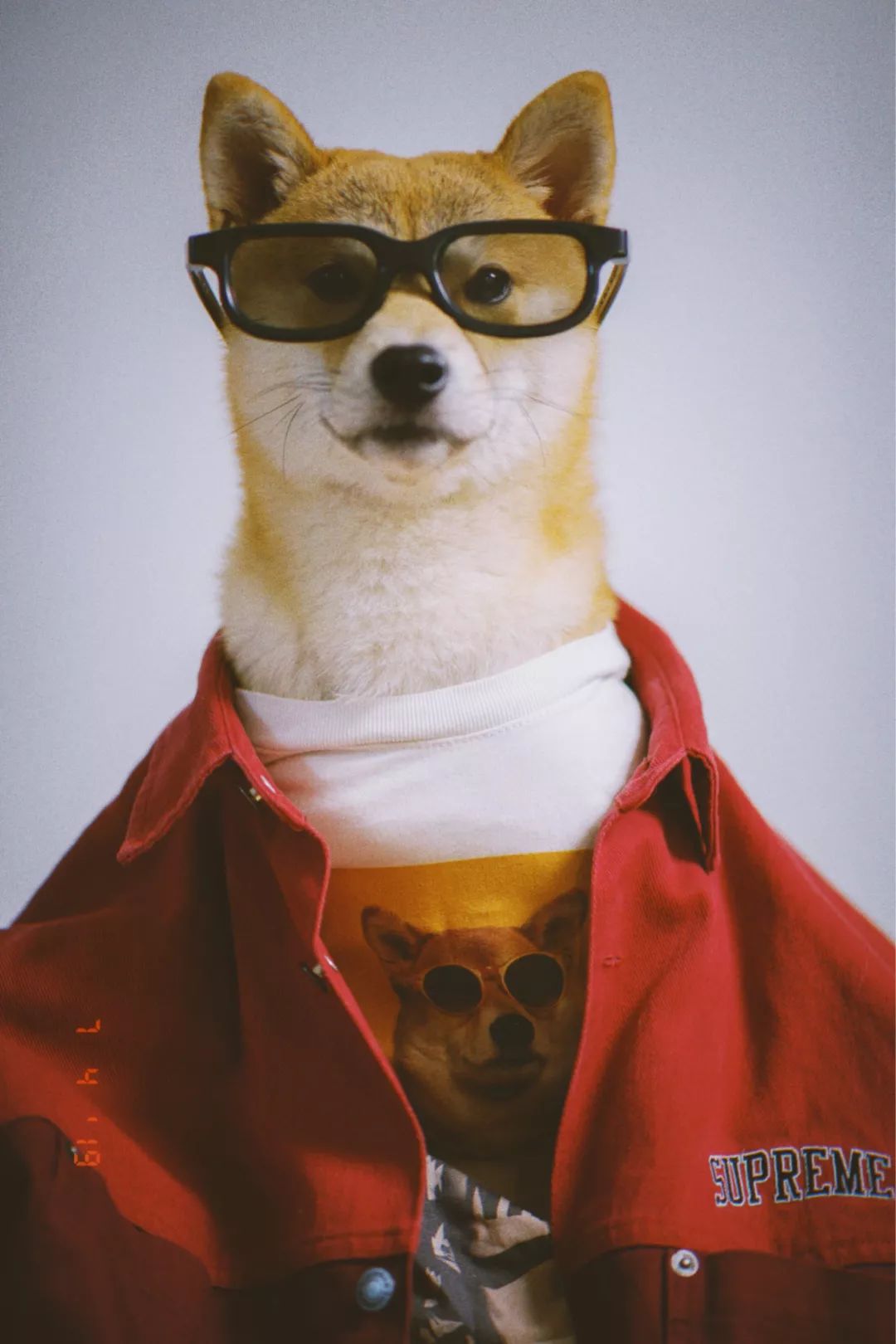 什么!?这是一个你没有见过的全新毒App社区