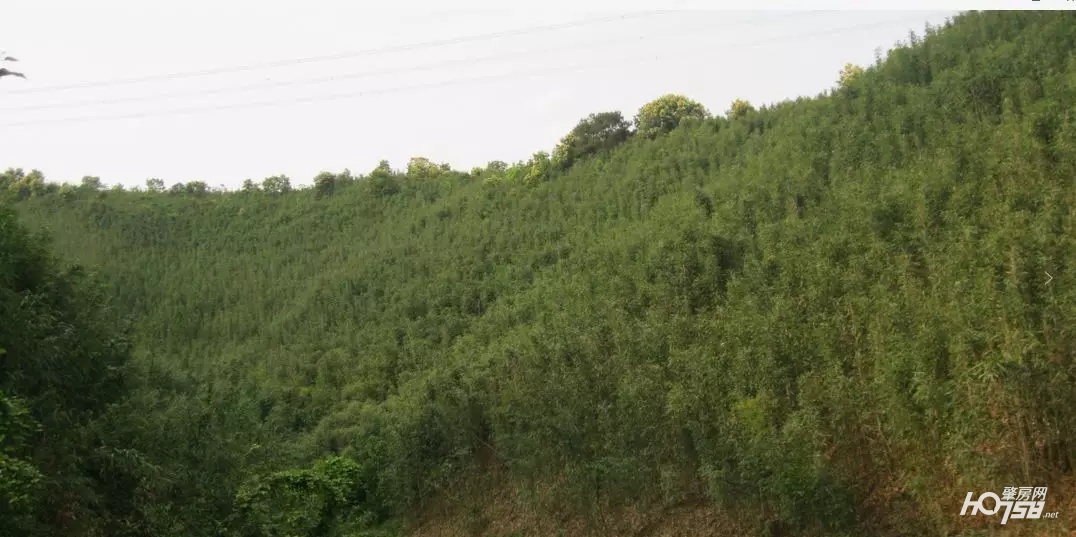 怀集画廊,十里画廊怀集