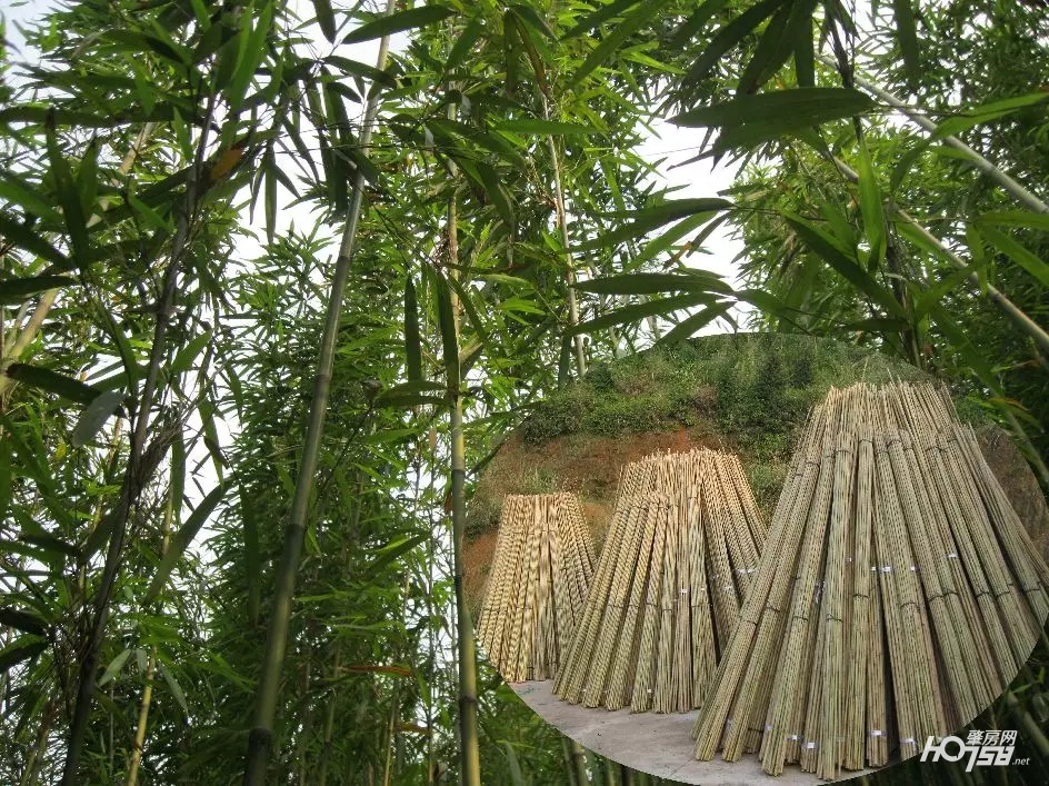 怀集画廊,十里画廊怀集