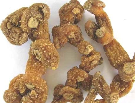 金线莲种植一亩利润1000万,金线莲种植市场的前景