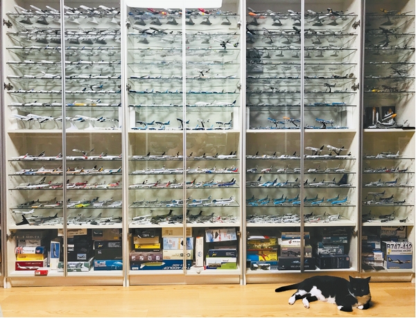 飞机模型收藏家飞友,飞机模型有收藏价值吗