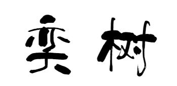 南京工业大学公益林上线，快来浇水种树！