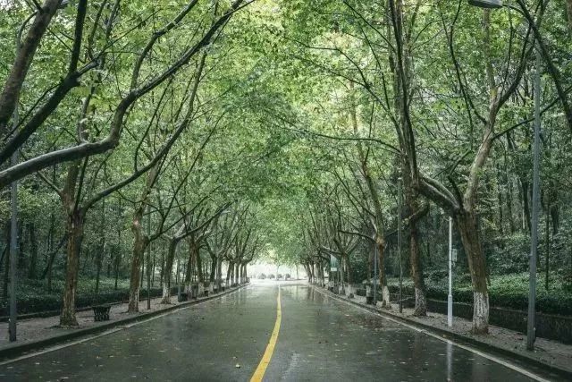 南京工业大学公益林上线，快来浇水种树！