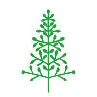 南京工业大学公益林上线，快来浇水种树！