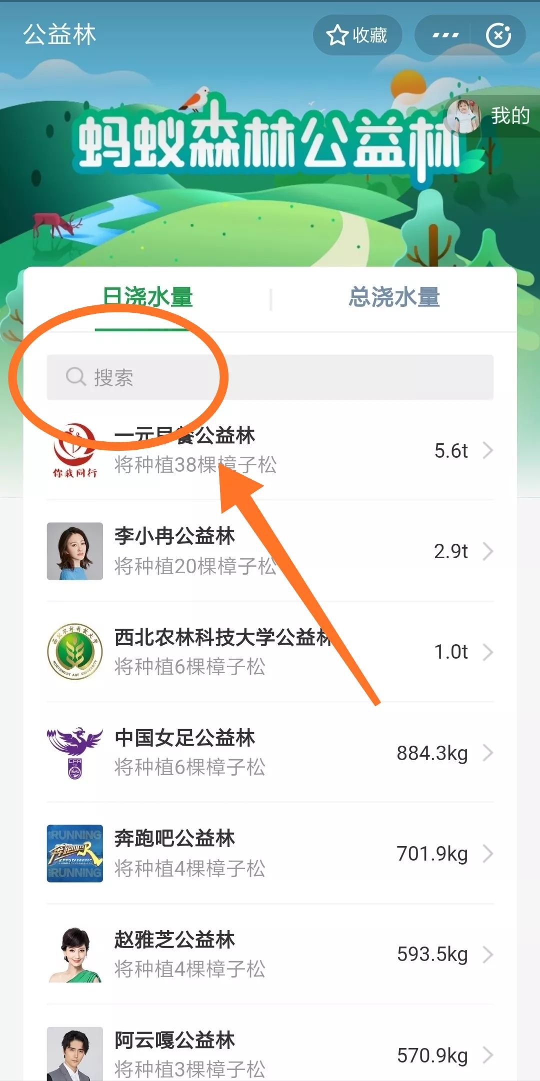 南京工业大学公益林上线，快来浇水种树！