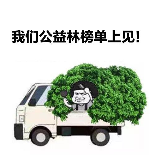 南京工业大学公益林上线，快来浇水种树！