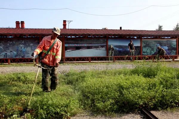 我以我诗颂祖国,我以诗颂祖国