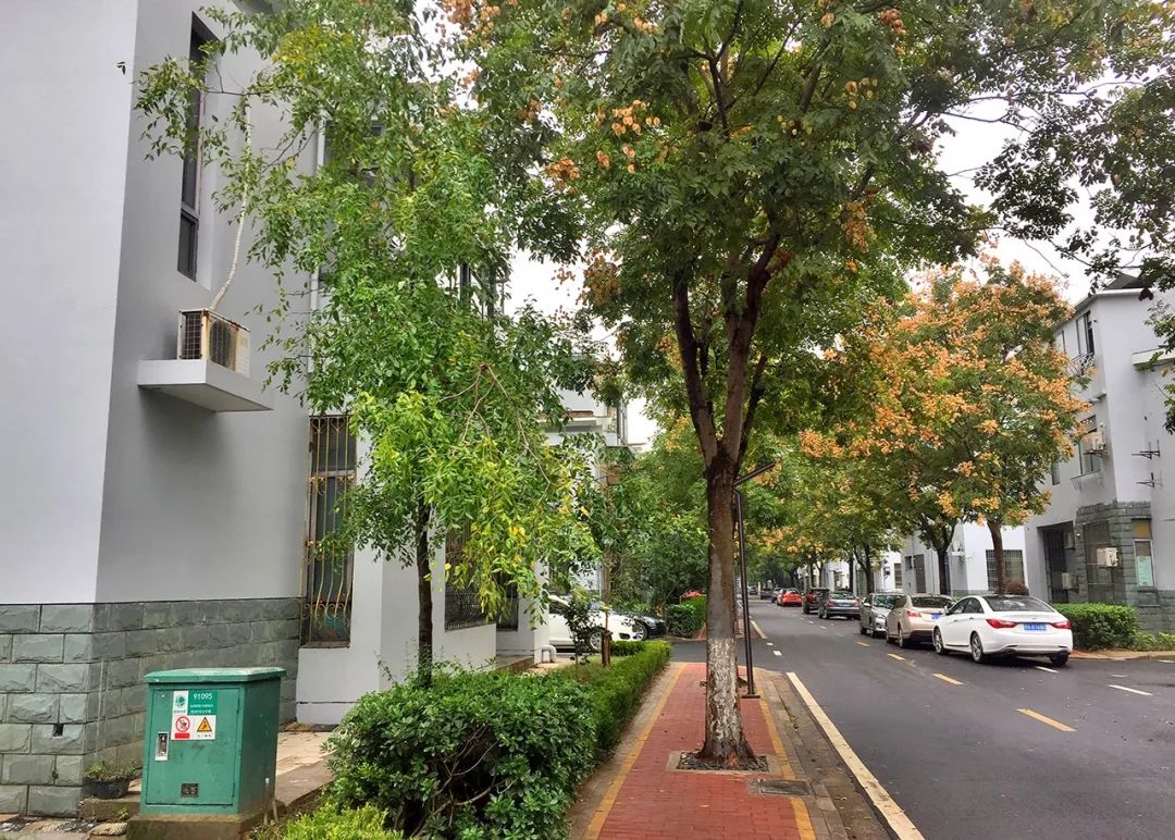 八大专项整治城区人居环境,环境卫生大整治助力三城联创