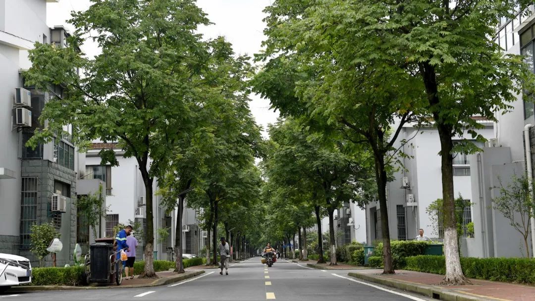 八大专项整治城区人居环境,环境卫生大整治助力三城联创