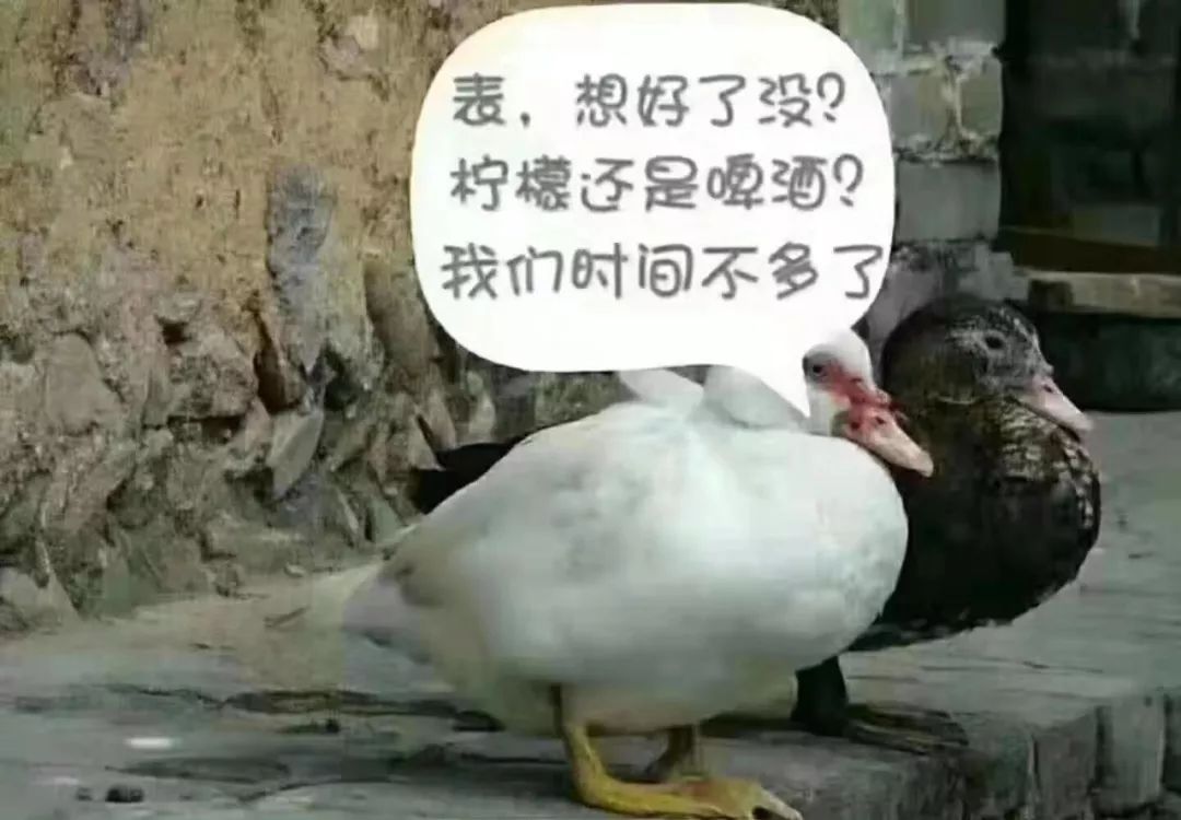 “我太难了！”今天没有一只鸭子能活着走出广西