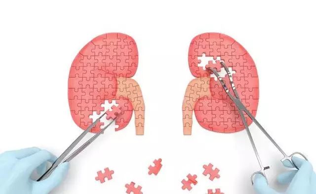 性弱肾虚怎么样锻炼,治疗肾虚壮阳