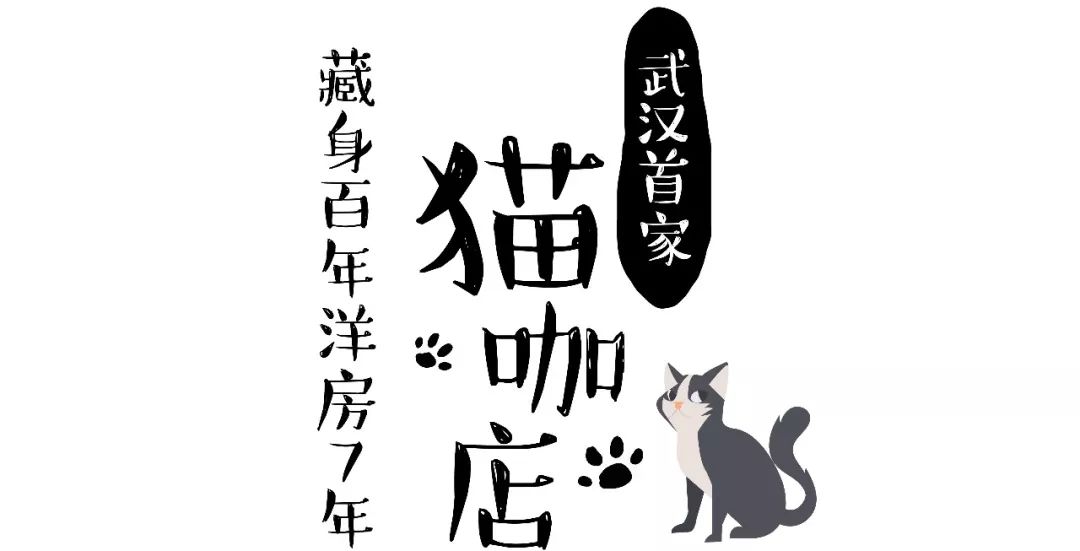 5家猫咖店200只猫,这对夫妻治愈无数武汉人