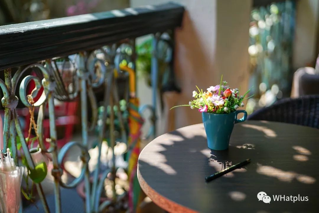 5家猫咖店200只猫,这对夫妻治愈无数武汉人