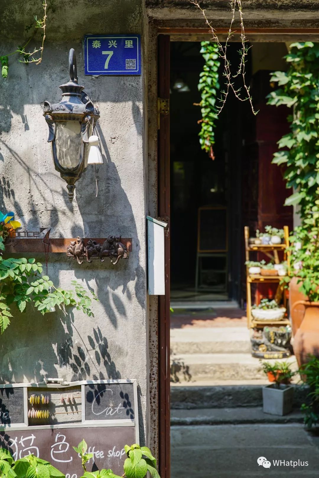 5家猫咖店200只猫,这对夫妻治愈无数武汉人