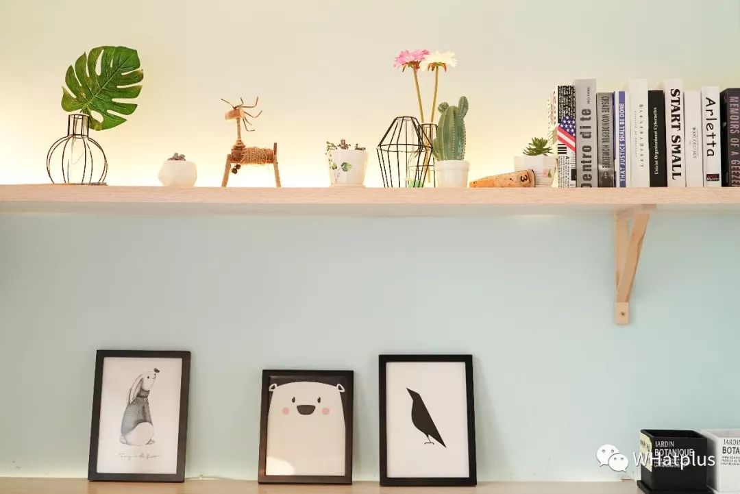 5家猫咖店200只猫,这对夫妻治愈无数武汉人