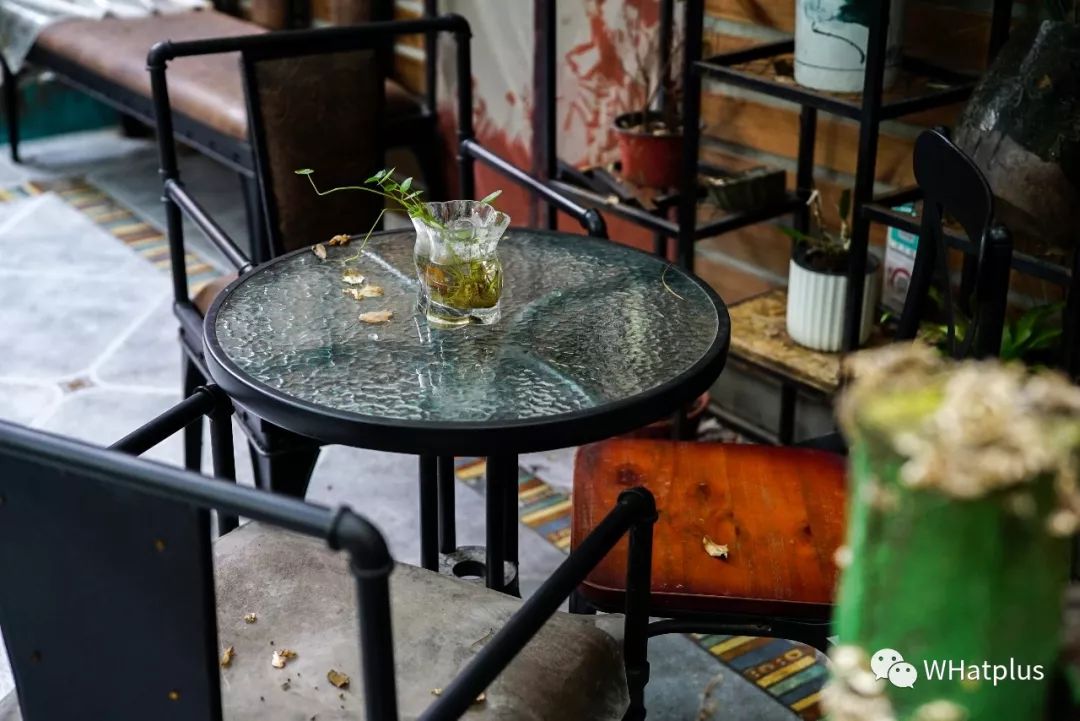 5家猫咖店200只猫,这对夫妻治愈无数武汉人