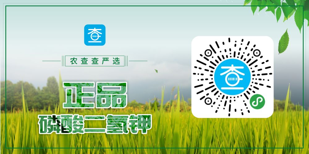 4招识别假肥料看完别再上当了,了解肥料常识谨防上当受骗